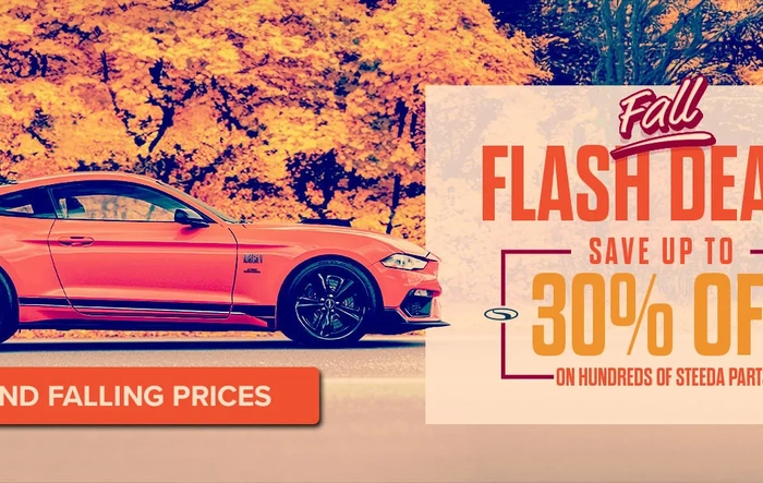 ***FALL FLASH SALE STARTS TODAY!***