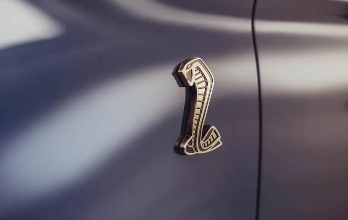 Ford to reveal all-new road-going race car on January 15... GT500 successor?!