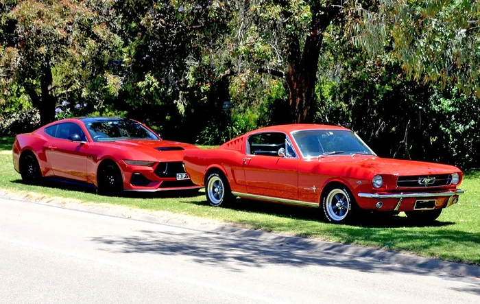 Multiple Mustangs in your family ?