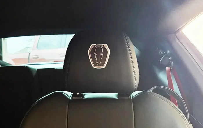 Seat headrest mod for my Dark Horse