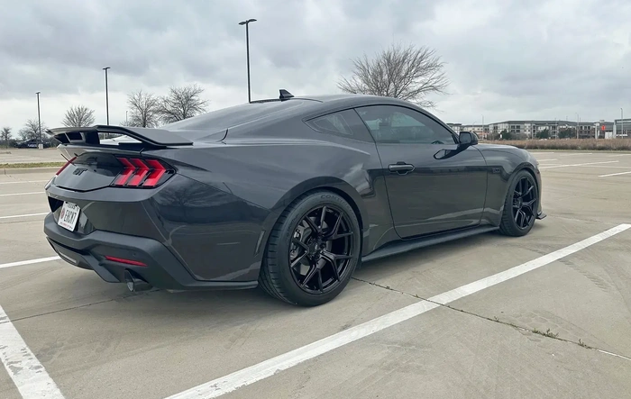 Street Suspension Setup Review (Ford Performance + Steeda)
