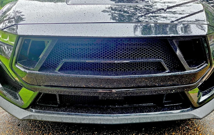 Shelby Super Snake Style Grille Kit installed