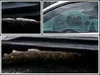 collage.webp
