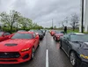 lined up for parade.webp
