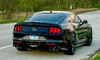 IMG_4507_jpg.webp