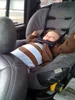 1782605668539-ne.webp