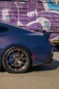 _DSC0426.webp
