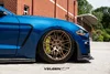 51219330338_4cf9444c82_k.webp