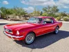 P5138262 copy.webp