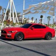 Stang55