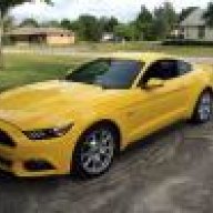 Mustangnut