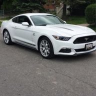 MustangJoe84
