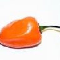 Habanero