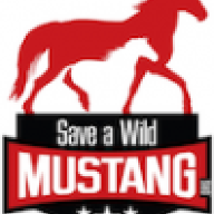 FordMustangRegistry