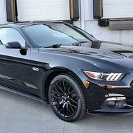 DetroitMustangs