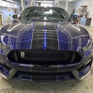 Stang65