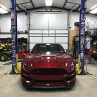 Red Widow