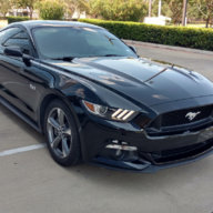 Nidstang