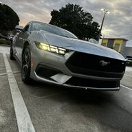 V6S197