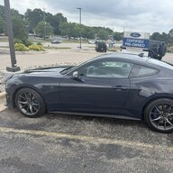 2019StangPP1