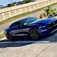 W.O.T. Stang