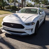 mustangpegasus51