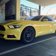 mustangbilly76