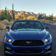 AZMustangMama