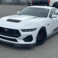 Spider864