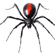 Redback
