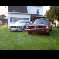 Stang316