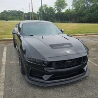 Raptor_Mustang
