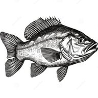 fishinrich