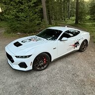 TheYankeeMarshal