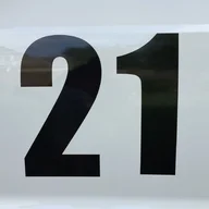 DINOSOAR21