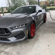 stang01