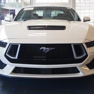 Frank 60th Anniv. Mustang