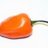 Habanero