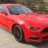 DAWGSTANG