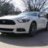moonshine_stang