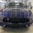 Stang65