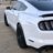 Stangboyz5.0
