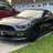 mustangjac