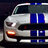 Racemetal