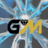 GEMMOTORSPORTS